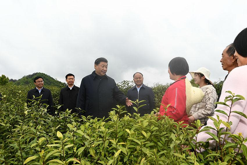 永乐高·(中国区)官方网站