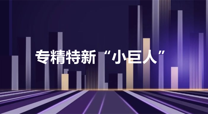 永乐高·(中国区)官方网站