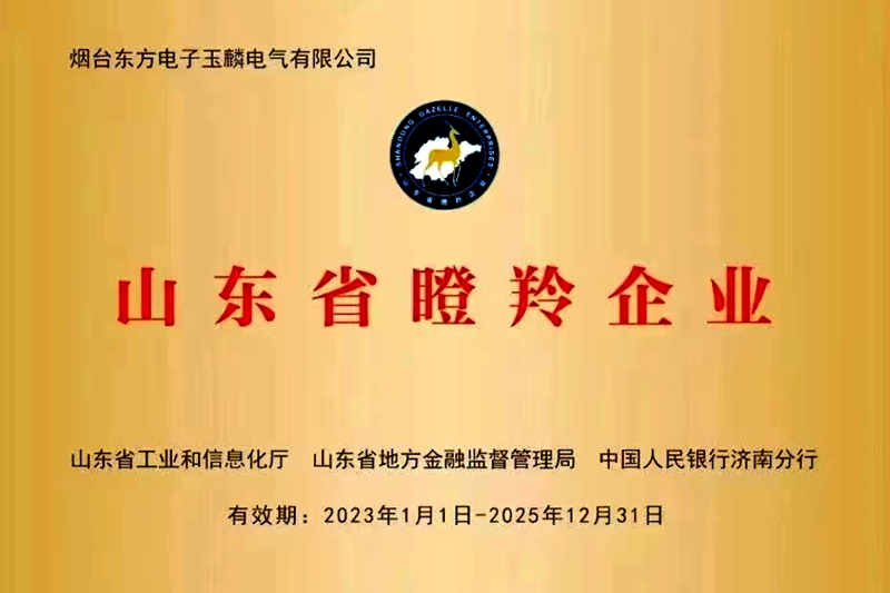 永乐高·(中国区)官方网站